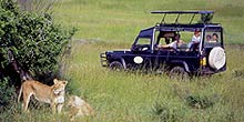 Kenya safaris